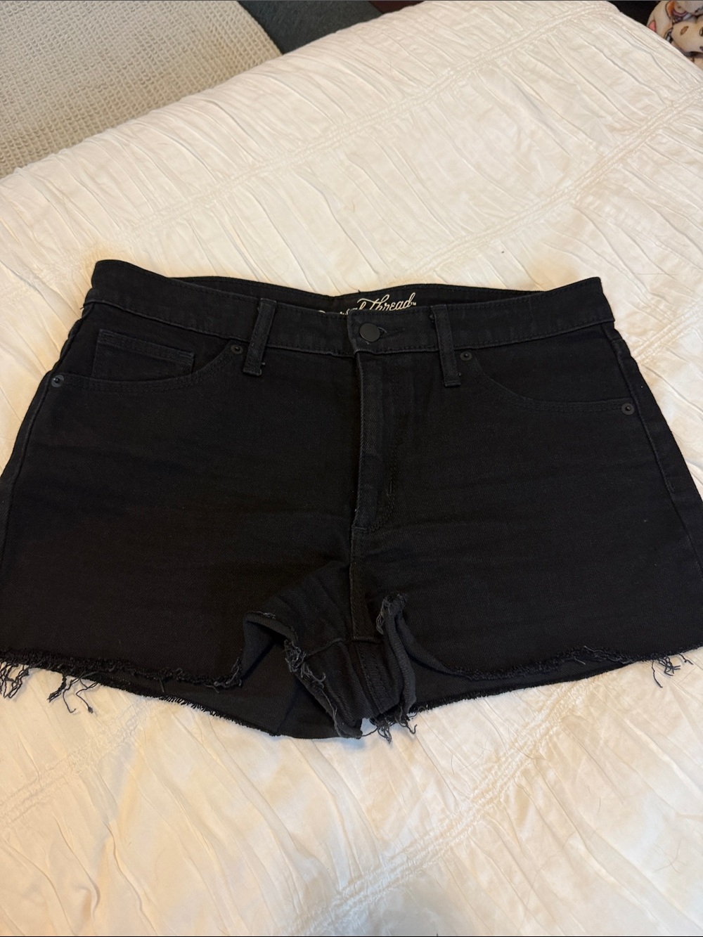 Universal Thread Black Frayed Denim Shorts